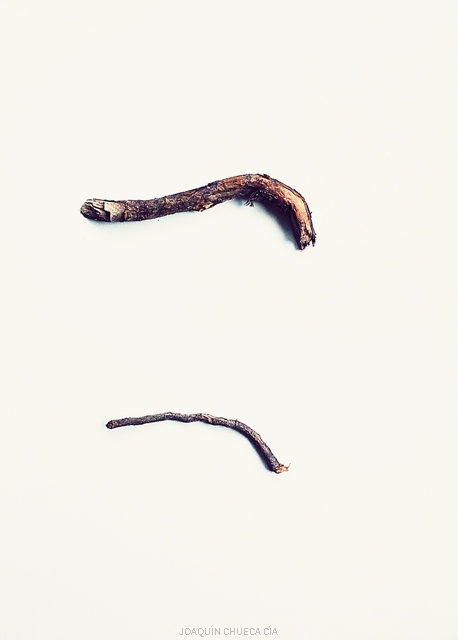 20170228_180239 640 WM b.jpg